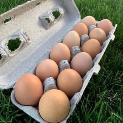 Eggs - Large Brown Bulk 15dz w/ Carton