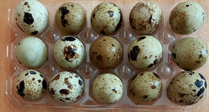 Quail Eggs /15 pk