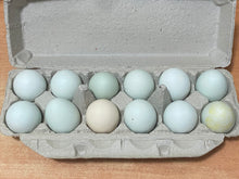 Load image into Gallery viewer, Eggs Heirloom Green, Chicken Free-range Clean, diet